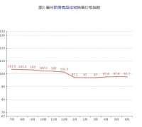 惠州6月新房价格环比下跌1.10%，二手房价格环比下跌0.80%